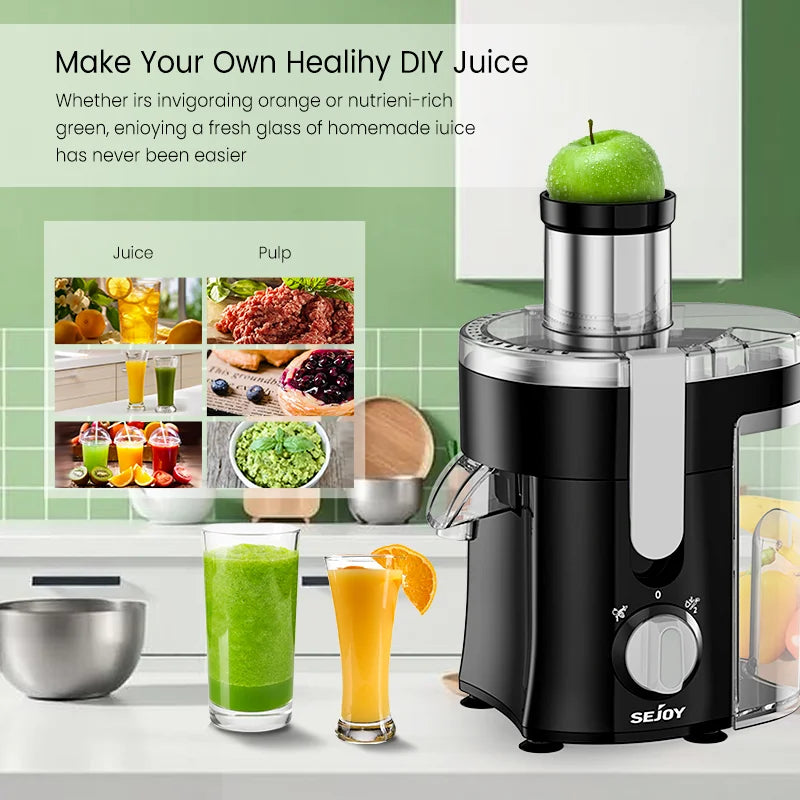 Compact Fruits Juicer,500W Juice Extractor Machine