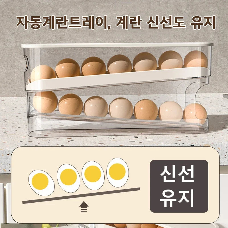Automatic Egg Dispenser