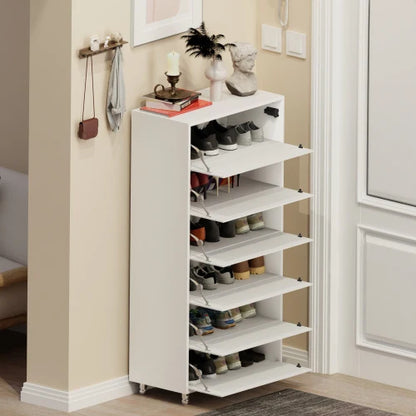 Mirror Shoe Cabinet With 6 Flip Drawers