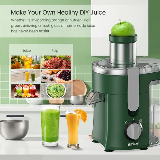Compact Fruits Juicer,500W Juice Extractor Machine